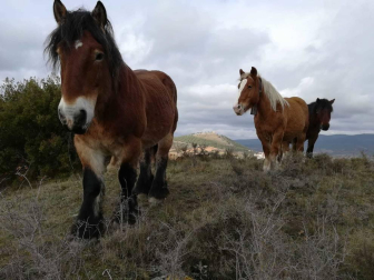 Fotos del otoño, retratado por los lectores de Diariodenavarra.es.