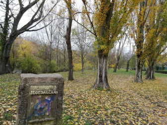 Fotos del otoño, retratado por los lectores de Diariodenavarra.es.