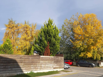 Fotos del otoño, retratado por los lectores de Diariodenavarra.es.