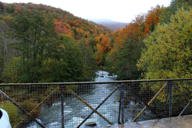 Fotos del otoño, retratado por los lectores de Diariodenavarra.es.
