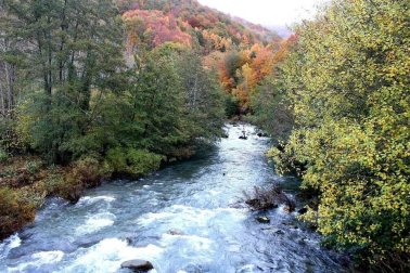 Fotos del otoño, retratado por los lectores de Diariodenavarra.es.