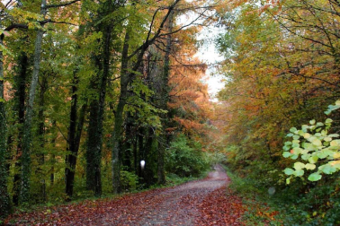 Fotos del otoño, retratado por los lectores de Diariodenavarra.es.