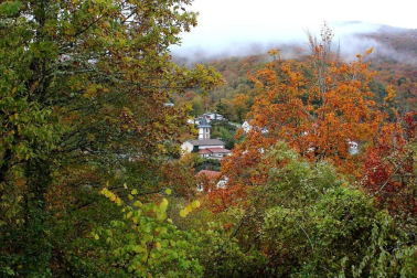 Fotos del otoño, retratado por los lectores de Diariodenavarra.es.
