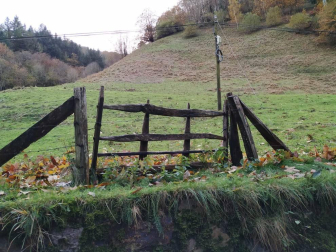 Fotos del otoño, retratado por los lectores de Diariodenavarra.es.