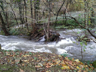 Fotos del otoño, retratado por los lectores de Diariodenavarra.es.