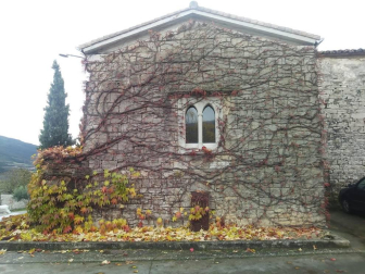 Fotos del otoño, retratado por los lectores de Diariodenavarra.es.