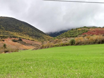 Fotos del otoño, retratado por los lectores de Diariodenavarra.es.
