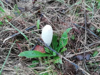 Fotos del otoño, retratado por los lectores de Diariodenavarra.es.