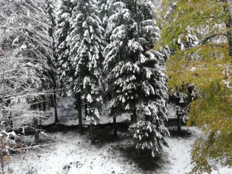 Fotos del otoño, retratado por los lectores de Diariodenavarra.es.