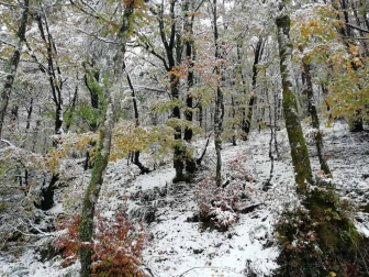 Fotos del otoño, retratado por los lectores de Diariodenavarra.es.