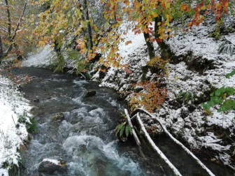 Fotos del otoño, retratado por los lectores de Diariodenavarra.es.