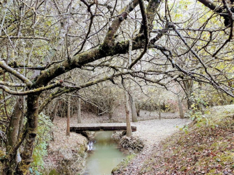 Fotos del otoño, retratado por los lectores de Diariodenavarra.es.