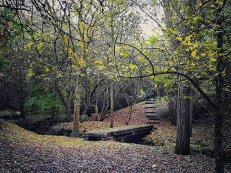 Fotos del otoño, retratado por los lectores de Diariodenavarra.es.