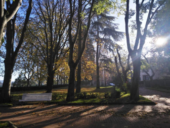 Fotos del otoño, retratado por los lectores de Diariodenavarra.es.