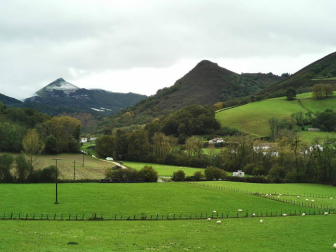 Fotos del otoño, retratado por los lectores de Diariodenavarra.es.