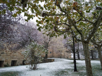 Fotos del otoño, retratado por los lectores de Diariodenavarra.es.