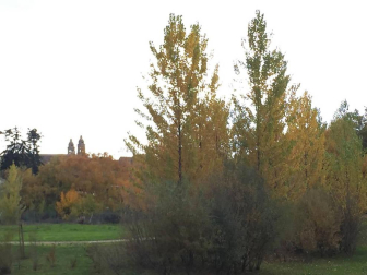 Fotos del otoño, retratado por los lectores de Diariodenavarra.es.