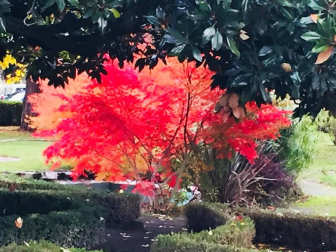 Fotos del otoño, retratado por los lectores de Diariodenavarra.es.