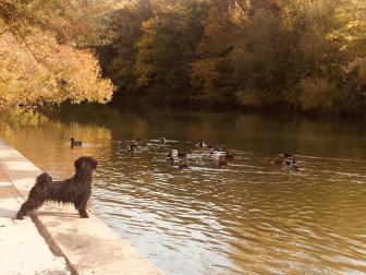 Fotos del otoño, retratado por los lectores de Diariodenavarra.es.