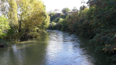 Fotos del otoño, retratado por los lectores de Diariodenavarra.es.