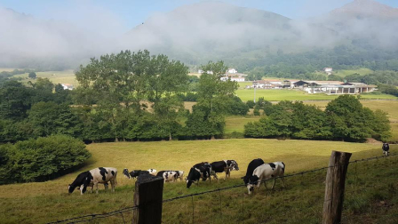 Fotos del otoño, retratado por los lectores de Diariodenavarra.es.