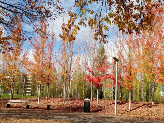 Fotos del otoño, retratado por los lectores de Diariodenavarra.es.