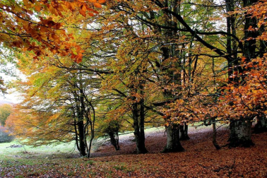 Fotos del otoño, retratado por los lectores de Diariodenavarra.es.
