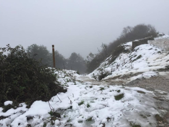 Fotos del otoño, retratado por los lectores de Diariodenavarra.es.
