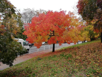 Fotos del otoño, retratado por los lectores de Diariodenavarra.es.
