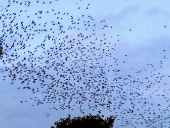 Fotos del otoño, retratado por los lectores de Diariodenavarra.es.