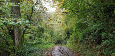 Fotos del otoño, retratado por los lectores de Diariodenavarra.es.