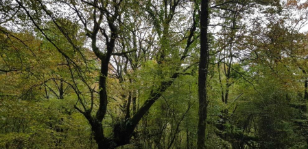 Fotos del otoño, retratado por los lectores de Diariodenavarra.es.