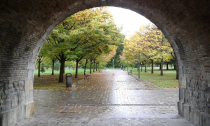 Fotos del otoño, retratado por los lectores de Diariodenavarra.es.