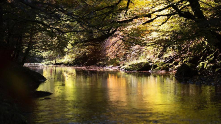 Fotos del otoño, retratado por los lectores de Diariodenavarra.es.
