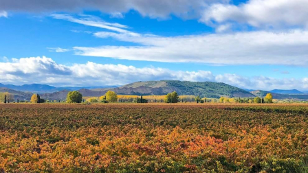Fotos del otoño, retratado por los lectores de Diariodenavarra.es.