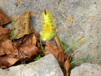 Fotos del otoño, retratado por los lectores de Diariodenavarra.es.