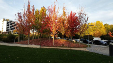 Fotos del otoño, retratado por los lectores de Diariodenavarra.es.