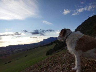 Fotos del otoño, retratado por los lectores de Diariodenavarra.es.