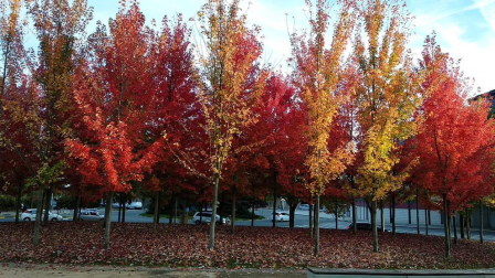 Fotos del otoño, retratado por los lectores de Diariodenavarra.es.