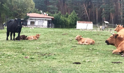 Fotos del otoño, retratado por los lectores de Diariodenavarra.es.