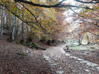 Fotos del otoño, retratado por los lectores de Diariodenavarra.es.