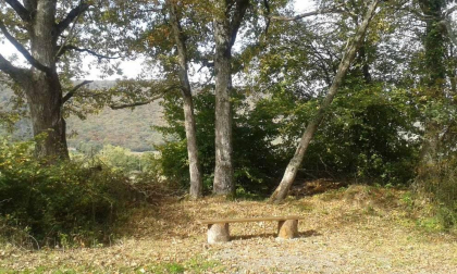 Fotos del otoño, retratado por los lectores de Diariodenavarra.es.
