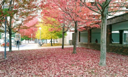 Fotos del otoño, retratado por los lectores de Diariodenavarra.es.