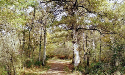 Fotos del otoño, retratado por los lectores de Diariodenavarra.es.