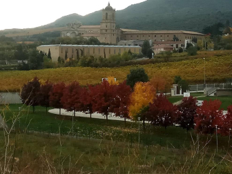 Fotos del otoño, retratado por los lectores de Diariodenavarra.es.