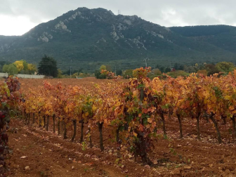 Fotos del otoño, retratado por los lectores de Diariodenavarra.es.
