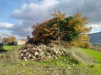 Fotos del otoño, retratado por los lectores de Diariodenavarra.es.