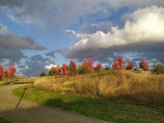 Fotos del otoño, retratado por los lectores de Diariodenavarra.es.