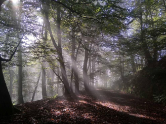Fotos del otoño, retratado por los lectores de Diariodenavarra.es.