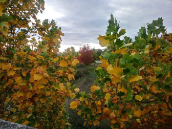Fotos del otoño, retratado por los lectores de Diariodenavarra.es.